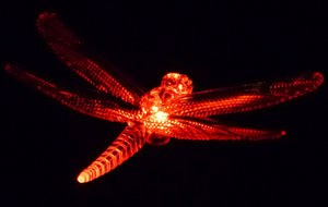 FEERIE SOLAIRE - pic solaire libellule lumineuse 5 couleurs 76cm - Photophore Pique Jardin