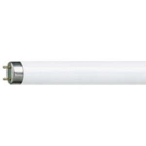 Philips - tube fluorescent 1381416 - Tube Fluorescent