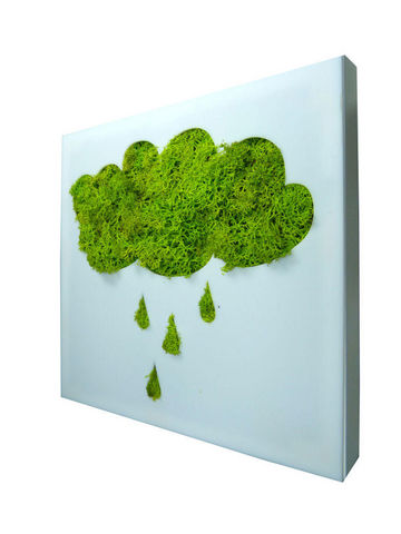 FLOWERBOX - Tableau végétal-FLOWERBOX-Tableau végétal picto nuage en lichen stabilisé 20