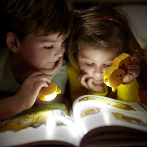 Philips - Veilleuse Enfant-Philips-DISNEY - Lampe torche à pile LED Winnie l'Ourson 