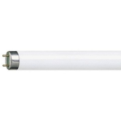 Philips - Tube fluorescent-Philips-Tube fluorescent 1381414