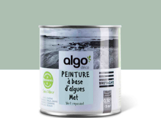 PEINTURES ALGO - Peinture murale-PEINTURES ALGO