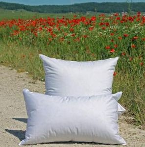 Lamy - boréal prestige - Pillow