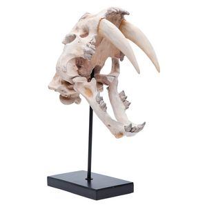 KARE DESIGN - deco ice age - Hunting Trophy