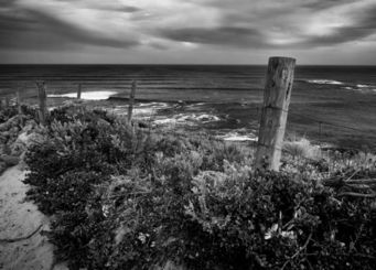 ALEX ARNAOUDOV - pacific fence - Photography