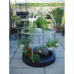 Mini greenhouse