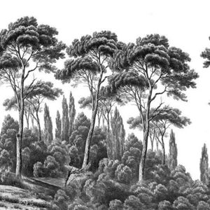 Ananbô - pins et cyprès - Panoramic Wallpaper