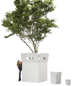 Flora - box - Tree Pot