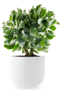 EVA SOLO - -legio nova-- - Plant Pot Cover
