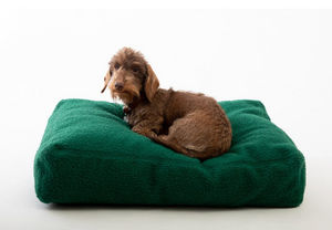 2.8 DUEPUNTOOTTO - elliott - Dog Bed