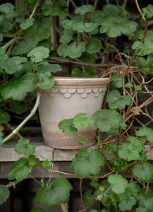 NIKI JONES - copenhagen 21cm large - Garden Pot