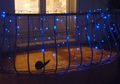 Lighting garland-FEERIE SOLAIRE-Guirlande solaire rideau 80 leds bleues 3m80