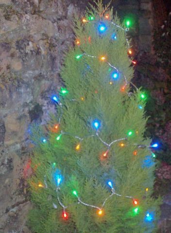 FEERIE SOLAIRE - Lighting garland-FEERIE SOLAIRE-Guirlande solaire 60 leds multicolores à clignotem