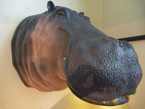 TexArtes - trophee hippopotame - Tierskulptur