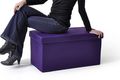 Kofferschrank-IKKO Home Design-Pouf Coffre pliant violet SUNNY