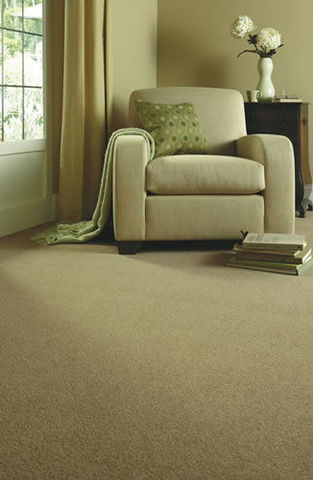 Axminster Carpets - Teppichboden-Axminster Carpets-Devonia Plains 40oz
