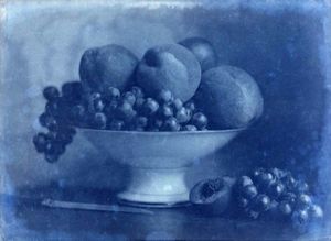 LINEATURE - positif - corbeille de fruits au couteau - 1855? - Fotografía