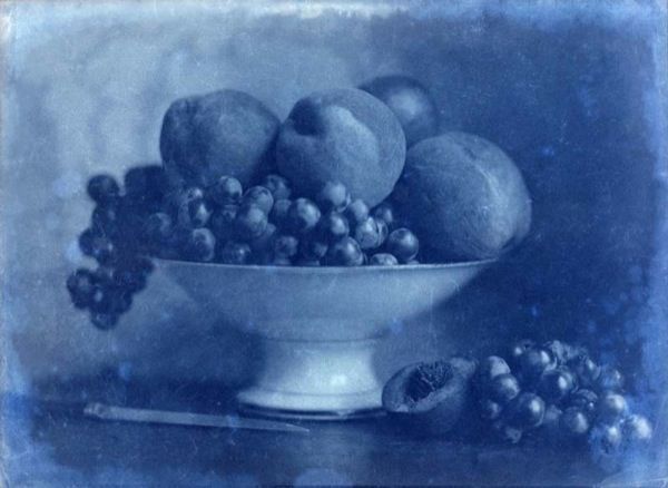 LINEATURE - Fotografía-LINEATURE-Positif - Corbeille de Fruits au couteau - 1855?