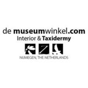 DE MUSEUMWINKEL.COM