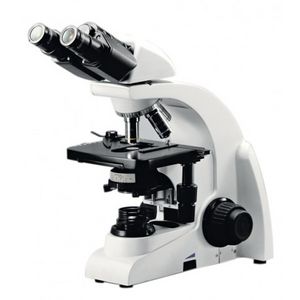 ARTESKY -  - Microscopio