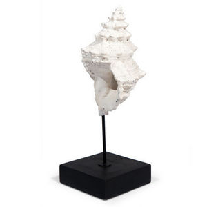 MAISONS DU MONDE - statuette coquillage museum - Figurina